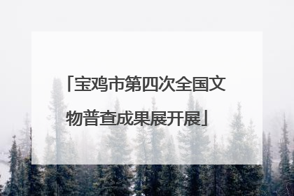 宝鸡市第四次全国文物普查成果展开展