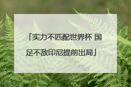 实力不匹配世界杯 国足不敌印尼提前出局
