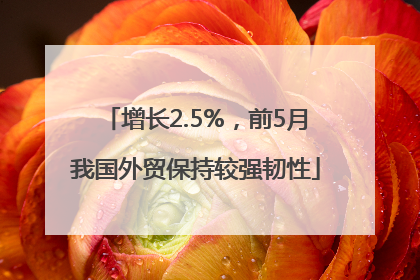 增长2.5%，前5月我国外贸保持较强韧性