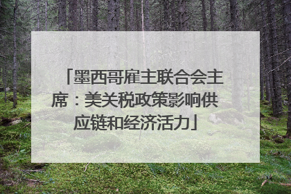 墨西哥雇主联合会主席：美关税政策影响供应链和经济活力