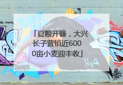 夏粮开镰，大兴长子营镇近6000亩小麦迎丰收