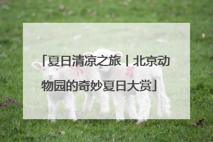 夏日清凉之旅丨北京动物园的奇妙夏日大赏