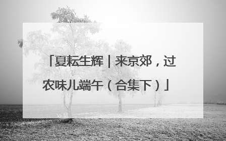 夏耘生辉｜来京郊，过农味儿端午（合集下）