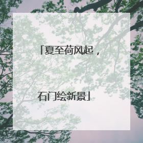夏至荷风起，石门绘新景