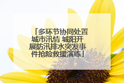 多环节协同处置城市汛情 城阳开展防汛排水突发事件抢险救援演练