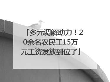 多元调解助力！20余名农民工15万元工资发放到位了