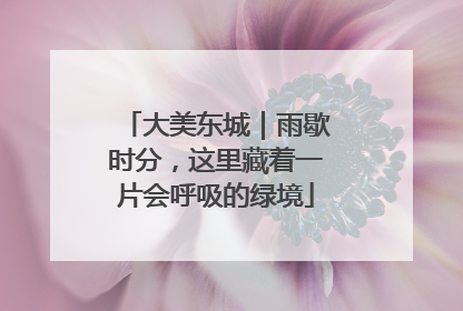 大美东城｜雨歇时分，这里藏着一片会呼吸的绿境