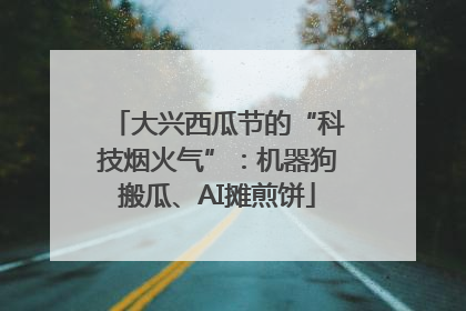 大兴西瓜节的“科技烟火气”：机器狗搬瓜、AI摊煎饼