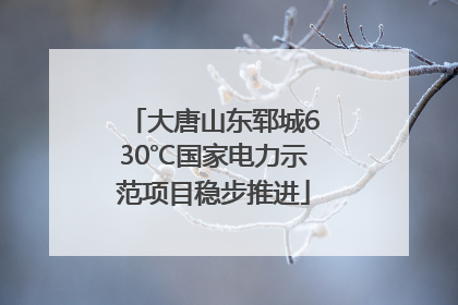 大唐山东郓城630℃国家电力示范项目稳步推进