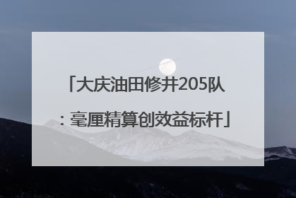 大庆油田修井205队：毫厘精算创效益标杆