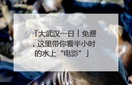 大武汉一日︱免费，这里带你看半小时的水上“电影”