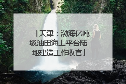 天津：渤海亿吨级油田海上平台陆地建造工作收官