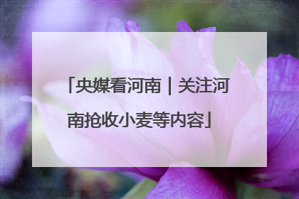 央媒看河南｜关注河南抢收小麦等内容