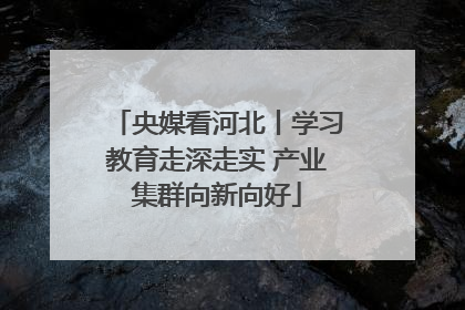 央媒看河北丨学习教育走深走实 产业集群向新向好