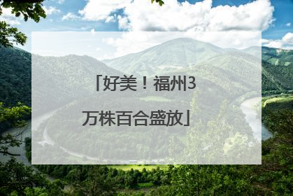 好美！福州3万株百合盛放