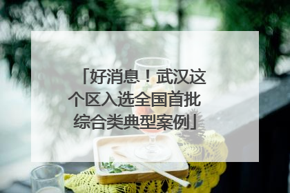 好消息！武汉这个区入选全国首批综合类典型案例