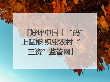 好评中国丨“码”上赋能 织密农村“三资”监管网