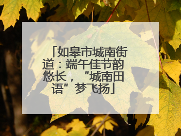 如皋市城南街道：端午佳节韵悠长，“城南田语”梦飞扬