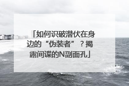 如何识破潜伏在身边的“伪装者”？揭露间谍的N副面孔