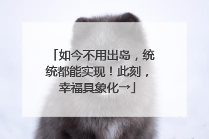 如今不用出岛，统统都能实现！此刻，幸福具象化→