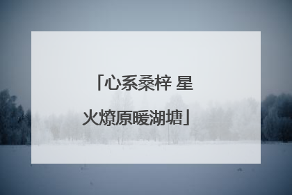 心系桑梓 星火燎原暖湖塘