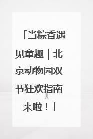 当粽香遇见童趣｜北京动物园双节狂欢指南来啦！