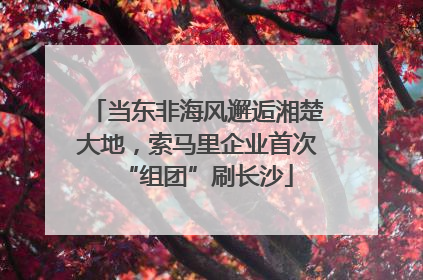 当东非海风邂逅湘楚大地，索马里企业首次“组团”刷长沙