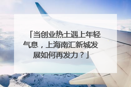 当创业热土遇上年轻气息，上海南汇新城发展如何再发力？