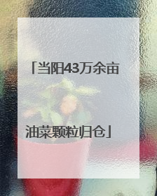 当阳43万余亩油菜颗粒归仓
