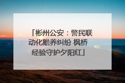 彬州公安：警民联动化赡养纠纷 枫桥经验守护夕阳红