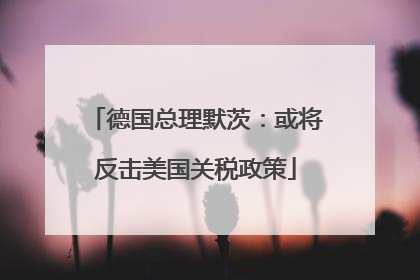 德国总理默茨：或将反击美国关税政策