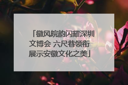 徽风皖韵闪耀深圳文博会 六尺巷领衔展示安徽文化之美