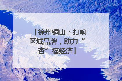 徐州铜山：打响区域品牌，助力“杏”福经济