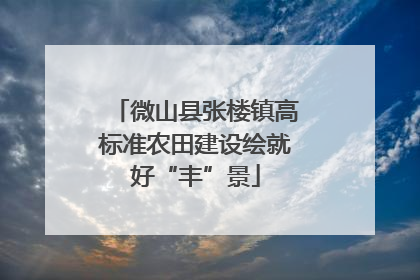 微山县张楼镇高标准农田建设绘就好“丰”景