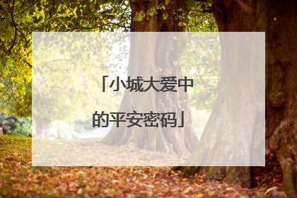 小城大爱中的平安密码