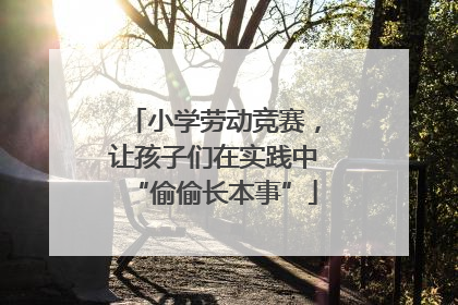 小学劳动竞赛，让孩子们在实践中“偷偷长本事”