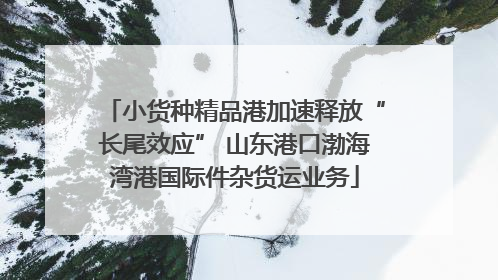 小货种精品港加速释放“长尾效应” 山东港口渤海湾港国际件杂货运业务
