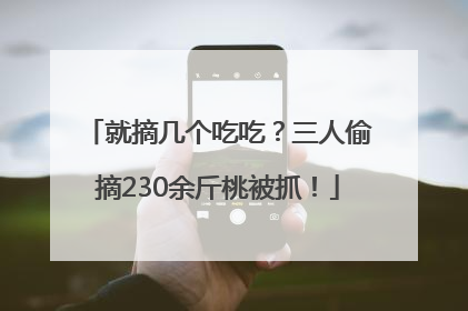 就摘几个吃吃？三人偷摘230余斤桃被抓！