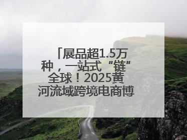 展品超1.5万种，一站式“链”全球！2025黄河流域跨境电商博览会启幕