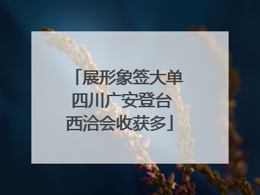 展形象签大单 四川广安登台西洽会收获多