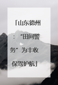 山东德州：“田间警务”为丰收保驾护航