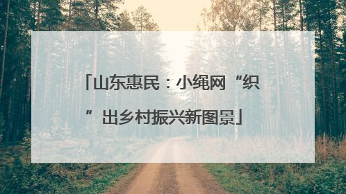 山东惠民：小绳网“织”出乡村振兴新图景