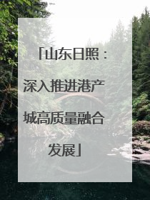山东日照：深入推进港产城高质量融合发展