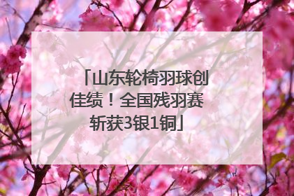 山东轮椅羽球创佳绩！全国残羽赛斩获3银1铜