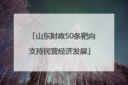 山东财政50条靶向支持民营经济发展