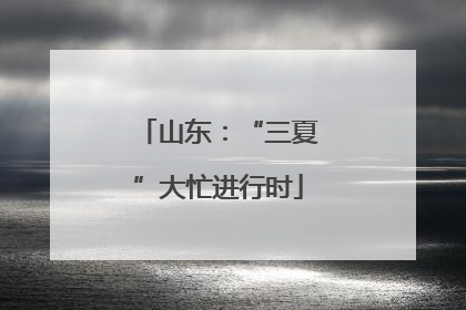 山东：“三夏”大忙进行时