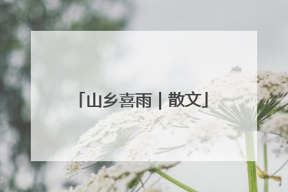 山乡喜雨｜散文