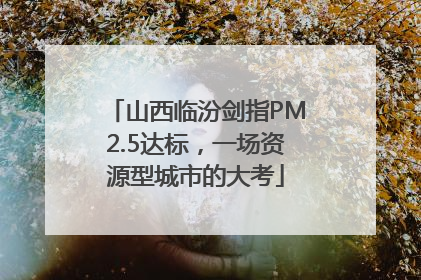 山西临汾剑指PM2.5达标，一场资源型城市的大考