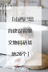 山西已培育建设省级文物科研基地26个