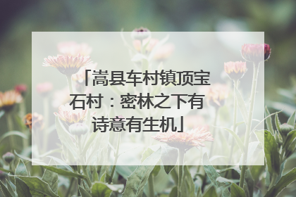 嵩县车村镇顶宝石村：密林之下有诗意有生机